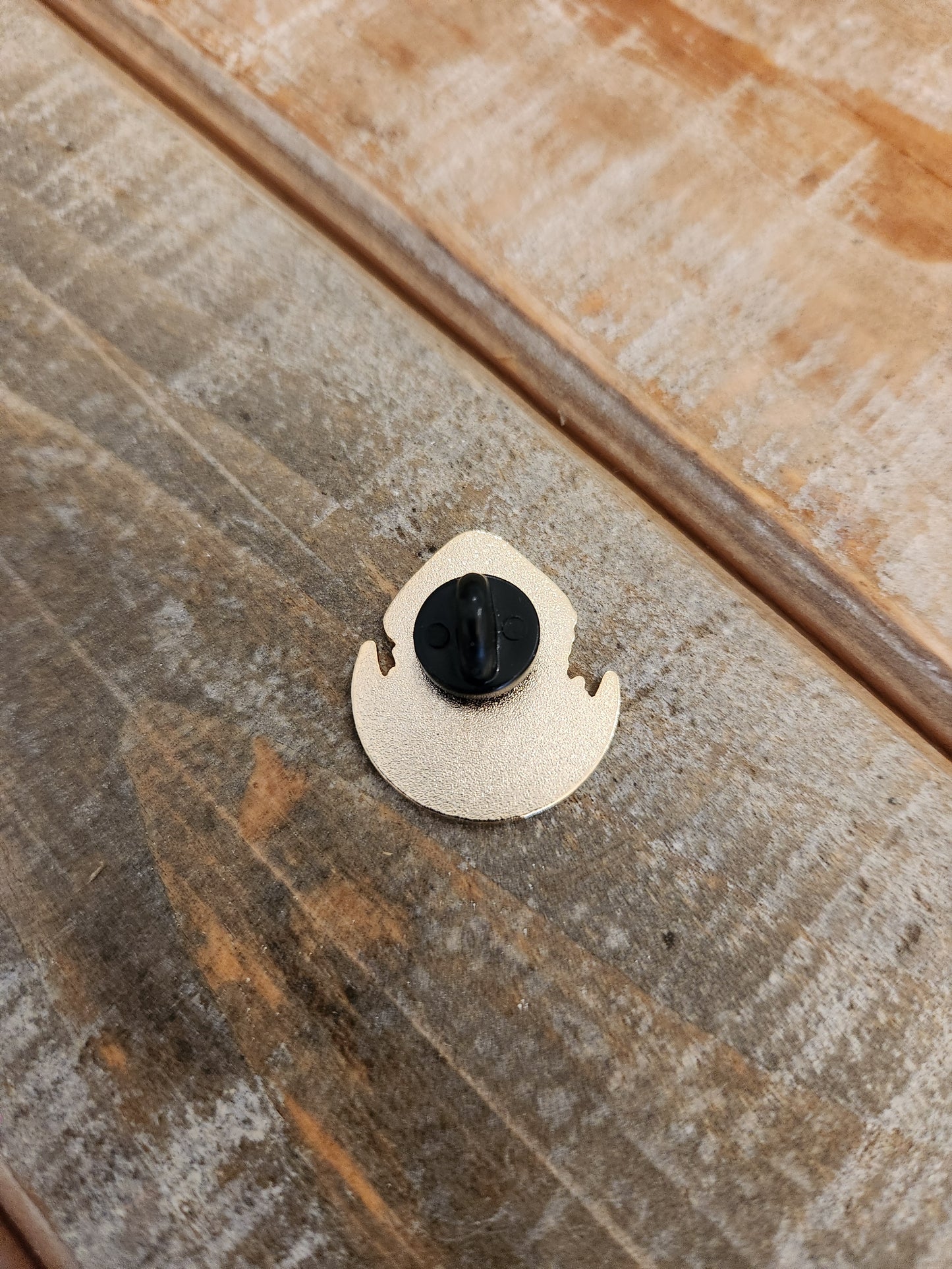 Moon mushrooms Pin